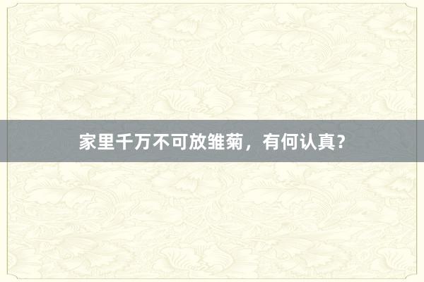 家里千万不可放雏菊，有何认真？